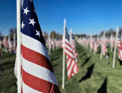 Honoring our Veterans